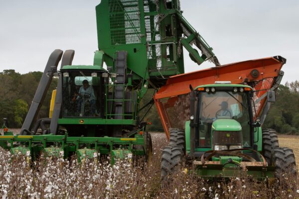 Machine Verified Harvest
